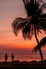 Fototapeta premium Silhouette of coconut tree with Twilight sunset at the beach, background.