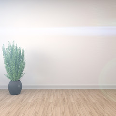 Obraz na płótnie Canvas interior with plant. 3d illustration