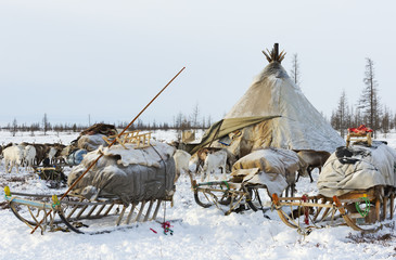 Camp of nomadic tribe in the polar tundra at a frosty day, chum, sled and other stuff