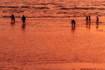 Fototapeta na wymiar Silhouette of people at the beach with sunset.