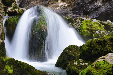 Waterfall on Savica wild river / Bohinj / Slovenia