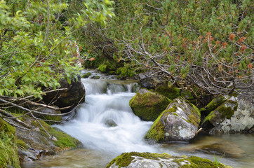 Fototapeta na wymiar Huncovsky creek / High Tatras / Slovakia