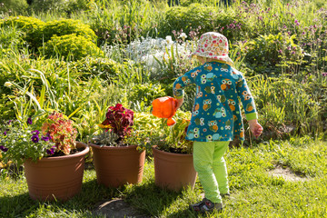 cute little girl with water can gardening and  watering colorful flowers in pots in beautiful traditional countryside garden