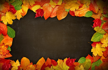 Naklejka na ściany i meble Autumn leaves over dark board