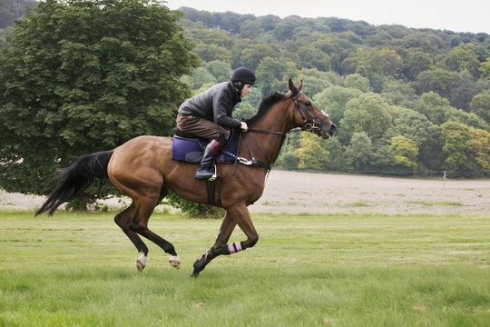 Man on a bay horse galloping across grass. 