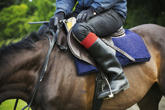 Close up of a rider wearing black riding boots, sitting on a bay horse.