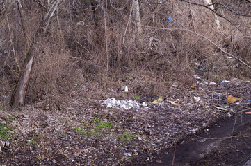 Garbage dump in old park