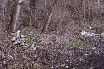 Garbage dump in old park