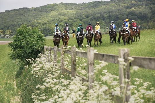 Group of riders on racehorses grouped on the race course, in a row. Waiting for the start. 