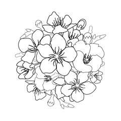 Graphic sakura vignette