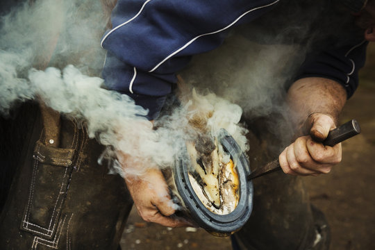 Close-up of farrier fitting new horseshoe to horse's hoof