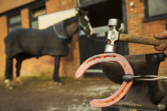Farrier using tongs and hammer to hold and shape red glowing horseshoe to be fitted