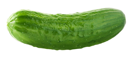 Isolated cucumber. Fresh raw cucumber isolated on white, with clipping path