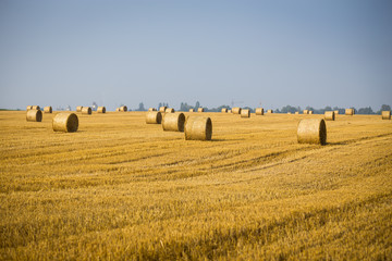 Rolls of haystacks on the field. Summer farm scenery with haystack on the Background of beautiful sunset. Agriculture Concept.Harvest concept