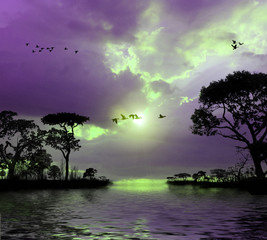 Flying birds in the sky, lakes, trees, sunset
