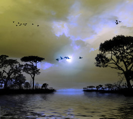 Flying birds in the sky, lakes, trees, sunset