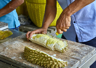 man cleans the market of exotic fruit durian in Thailand