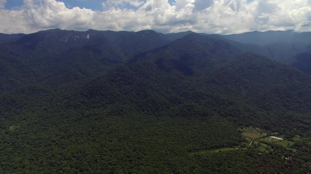 Aerial View of Rainforest, Latin America