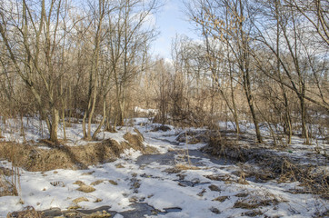 Winter landscape

