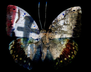 Grunge butterfly