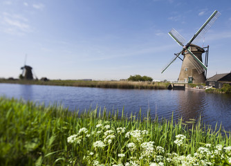 Fototapeta premium Traditional old windmills in Netherlands