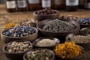 Herbal medicine on wooden desk background