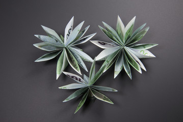 flowers origami banknotes
