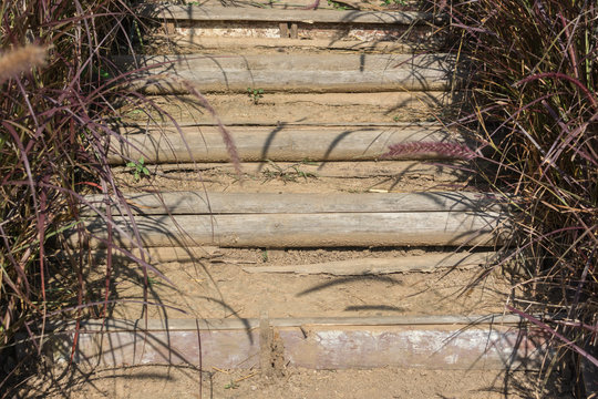 Wooden Stairway Cluttered With Grass