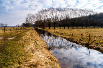Przedwiośnie na Podlasiu