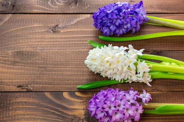 Fresh hyacinth flowers on wooden background. Beautiful idea for greeting cards for Valentine's day, March 8 and mother's day. Free space