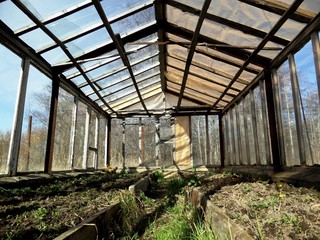 Fototapeta na wymiar Greenhouse in Russia