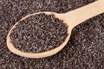 poppy seeds with a spoon as background close-up. Top view