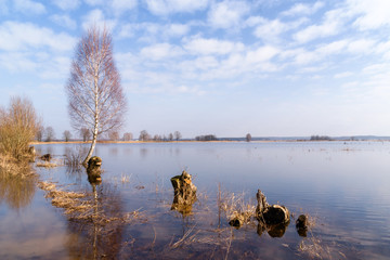 Rozlewiska Narwi © podlaski49