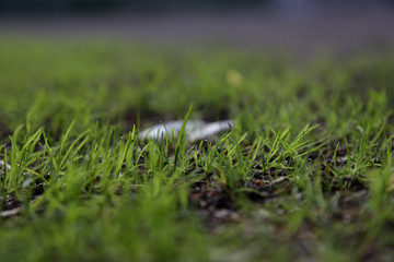 Müll auf den Fußballplatz