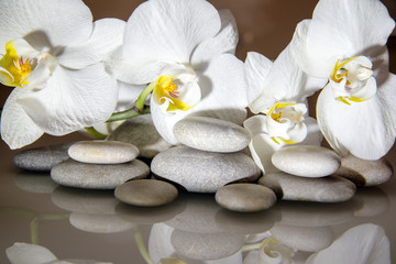 Obraz na płótnie Canvas flat stones on a white glass on the background of white orchids 