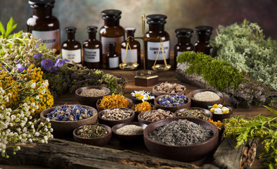 Fresh medicinal, healing herbs on wooden