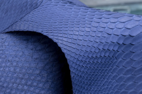 Genuine python snakeskin leather, snake skin, texture background.