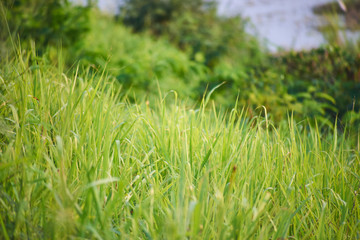 this image is beautiful land scape