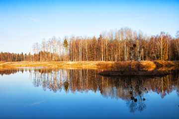 Trees are reflected in water early in the morning in the spring