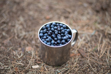a Cup of blueberries