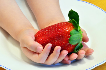 Giant strawberry © Dariusz Kopestynski