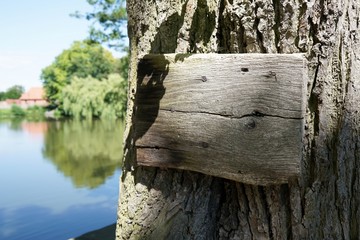 Schild aus Holz an einem alten Baum