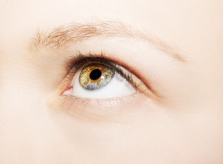 A beautiful insightful look woman's eye. Close up shot