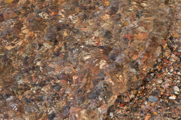 Stones on the coast of the Baltic Sea