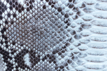 Genuine python snakeskin leather, snake skin, texture background.