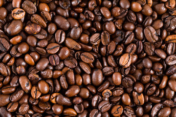 Coffee bean