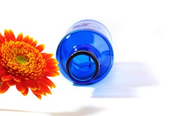 Orange gerbera with blue vase on white background