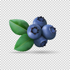 Blueberry with leaves isolated on transparent background