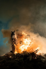 Horses jumping above the fire without fear