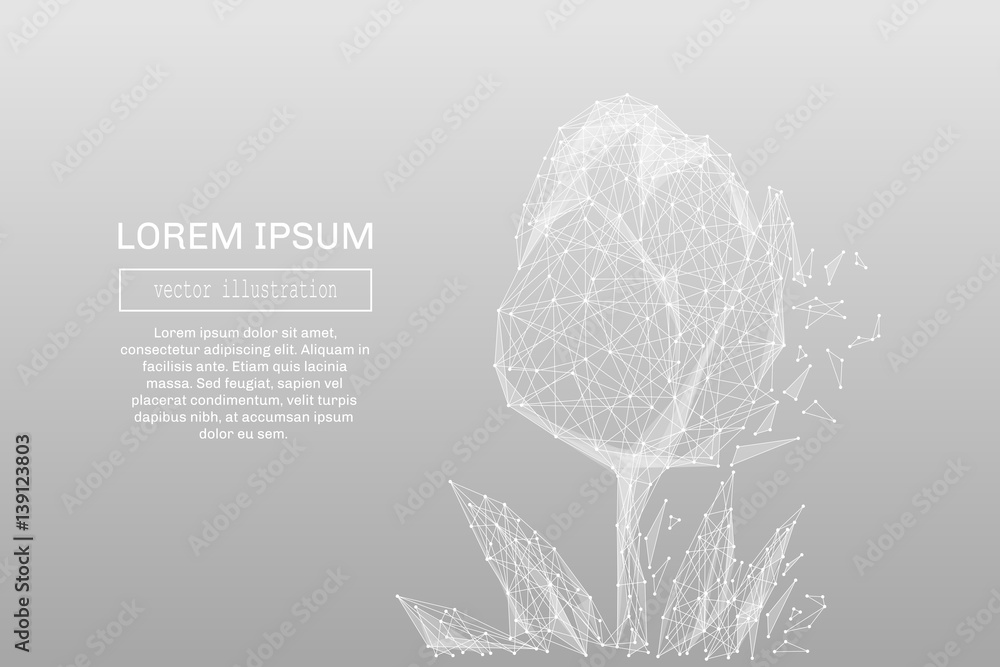 Poster White abstract tulip polygonal, geometry triangle. Light connection structure. Low poly vector on gray business concept background.